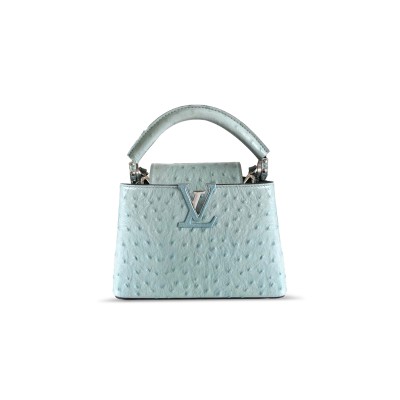 LOUIS VUITTON CAPUCINES MINI N85510 (21*14*8cm) LOUIS VUITTON CAPUCINES MINI N85510 (21*14*8cm)
